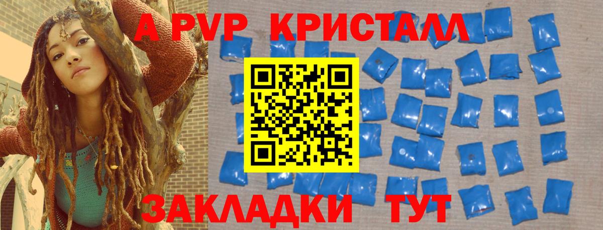 APVP СК КРИС Пугачёв