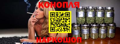 прущие крисы Малгобек