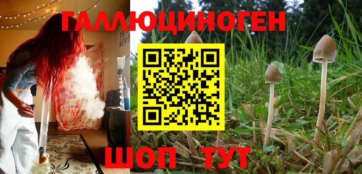 Галлюциногенные грибы мухоморы  Вход с VPN  Псилоцибиновые грибы Cubensis  Пугачёв 