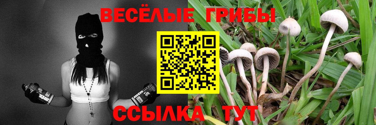 Галлюциногенные грибы Magic Shrooms Пугачёв